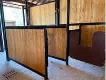 Travaglio con puledro